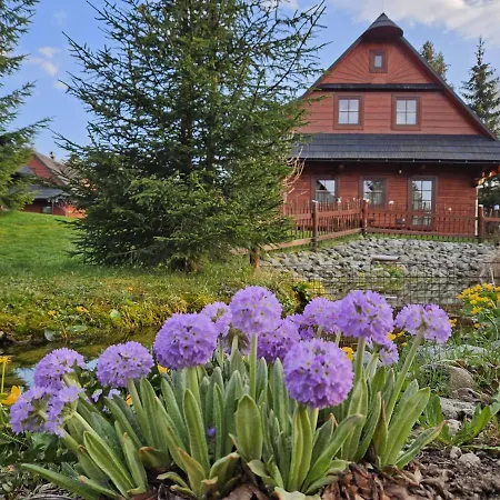 دريفينس زوبيرك زوبيريتس