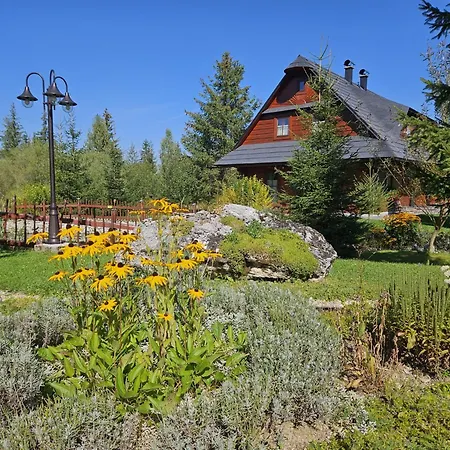 دريفينس زوبيرك * زوبيريتس