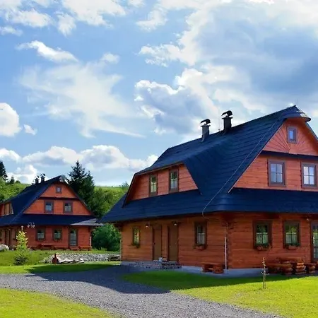 دريفينس زوبيرك *